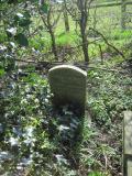 image of grave number 418676